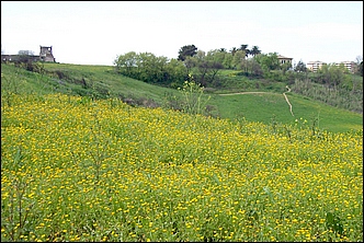 Anteprima - Clicca per ingrandire